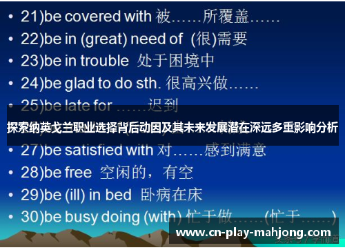 探索纳英戈兰职业选择背后动因及其未来发展潜在深远多重影响分析