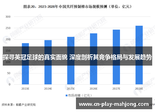 探寻英冠足球的真实面貌 深度剖析其竞争格局与发展趋势