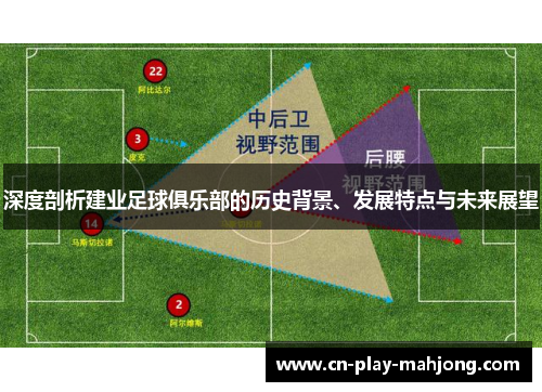 深度剖析建业足球俱乐部的历史背景、发展特点与未来展望